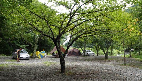 道志村　観光農園キャンプ場